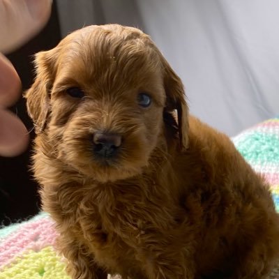 Moonis777's profile picture. 25 l Trader l All tweets are my ideas and opinions, not financial advice.