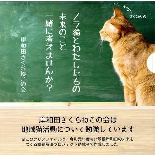 岸和田さくらねこの会 Kswd Sakuraneko Twitter