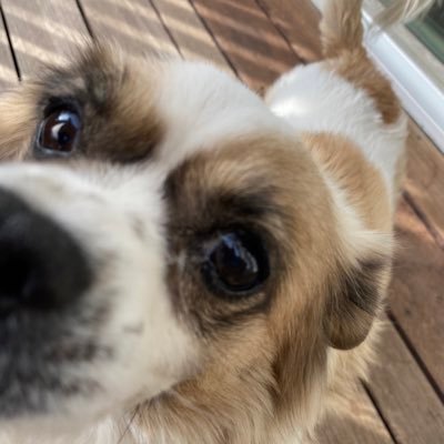 Rcerva12's profile picture. 
