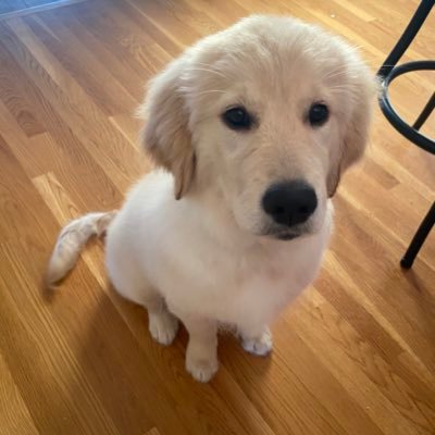 CharleyLom's profile picture. 