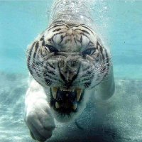 ricardo muñoz (@ricardomuozort1) 's Twitter Profile