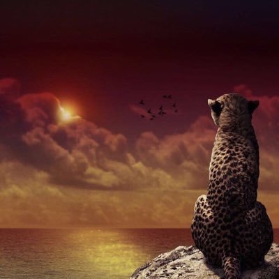 aboody_1007's profile picture. ولدت اتحاديا لم أعرف شئ غيره مجتمعي كان أصفر وأسود ، لذلك يجب أن تعرفوا بأن الآتي هو وطني هو حياتي في كل شئ ❤ هذا حالي يا العميد مجنونك