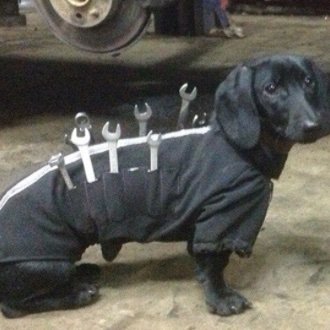 Tooldog2's profile picture. I'm the guy who will break your car just to fix it later