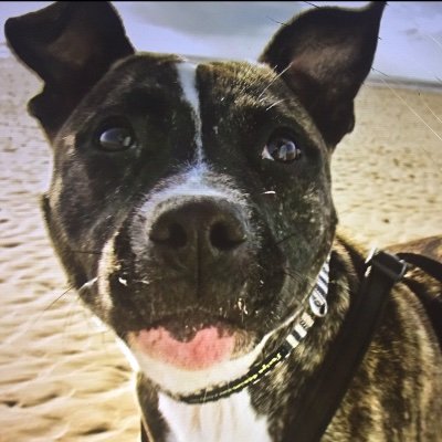 Will62241097's profile picture. 