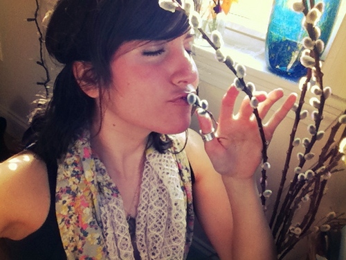 MurphyLala's profile picture. 