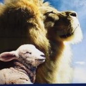 BedeyahMishael's profile picture. Servant of Yahweh my Elohim and I confess his son Yeshua HaMashiach as my Adon.