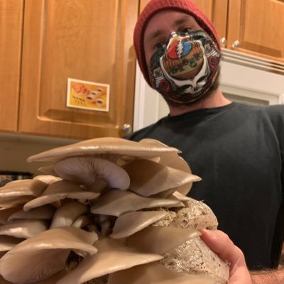 junjed85's profile picture. 