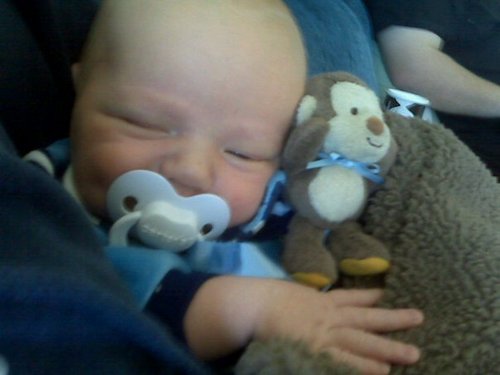 5monkeysmama's profile picture. Stay at home mom of 5, Daughter of God, LDS, Love to be frugal and trying to start a homestead.