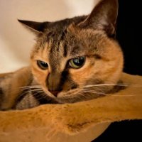 LIFE PIONEER (@lifepioneer) 's Twitter Profile Photo