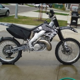 austy5111's profile picture. 