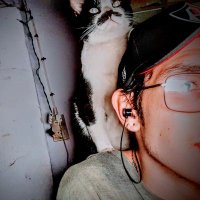 Luisito (@luisito89344657) 's Twitter Profile