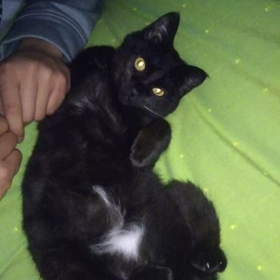 ゆるく地域情報やランチネタなど発信していきます