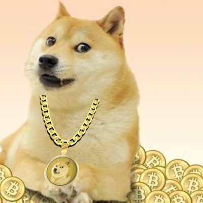 crypto rap
🐕 🚀 🌔 