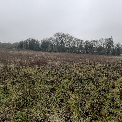 Mansion Lane Landowner's Group aim to support sustainable growth of Iver and stop environmental crimes committed in the area.