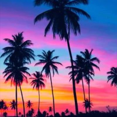 Kiwikitwit's profile picture. 