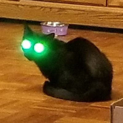 Cat lover, horror enthusiast, bassist, writer, lover of all things strange and creepy. Ave Satanas! They/she. ⛧𐕣 😺 🎃💀