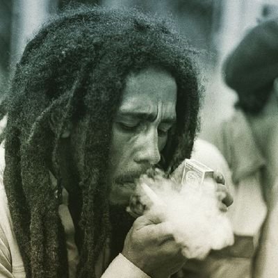 YeLi Too Stoned Profile