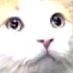 Mookle (@milkymookle) Twitter profile photo Mookle (@milkymookle) Twitter profile photo