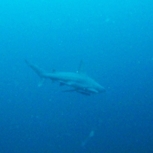 benlloyd1234's profile picture. 