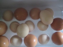 attemoyan's profile picture. 