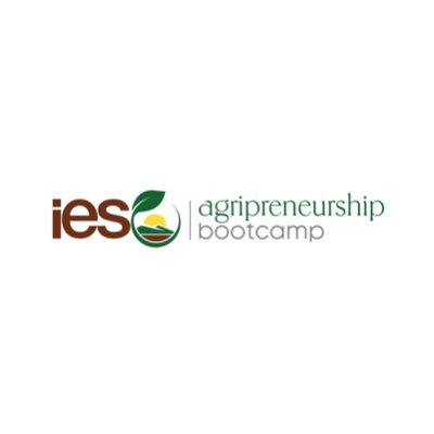 A virtual capacity building accelerator program for young African aspiring and existing agripreneurs.