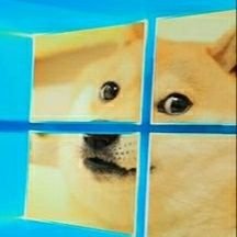 Windoge69's profile picture. Windoge 10