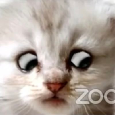 SurnameDean's profile picture. Snowflakes. They melt. Always.