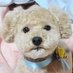 かわちゃん (@kawachan93) Twitter profile photo かわちゃん (@kawachan93) Twitter profile photo