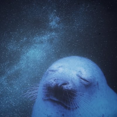 冬炬燵あいす⏱⛓さんのプロフィール画像