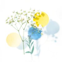 憂 (@torinaxx) 's Twitter Profile Photo