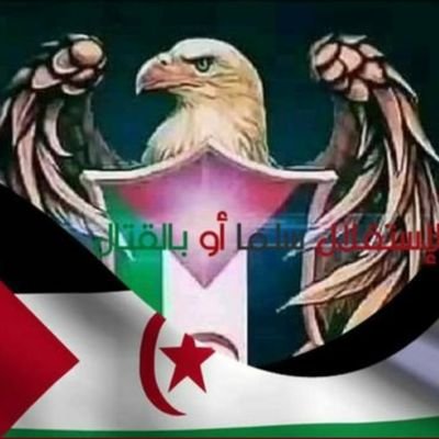Free Western Sahara.