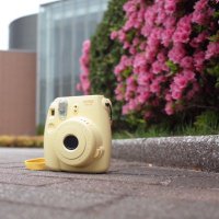 日本大学文理学部写真研究会 【公式】 (@shaken_nu) 's Twitter Profile Photo 日本大学文理学部写真研究会 【公式】 (@shaken_nu) 's Twitter Profile Photo
