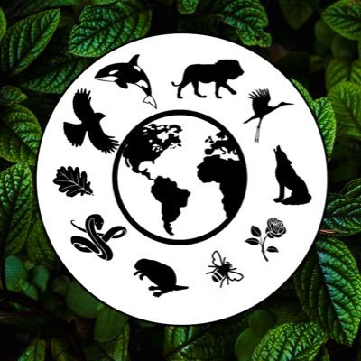 Sharing the latest articles, stories and footage of wildlife conservation and sustainable development in the UK and beyond!