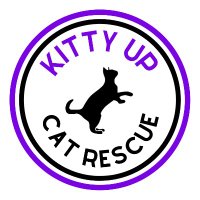 Kitty Up Cat Rescue (@kittyupcat) 's Twitter Profile