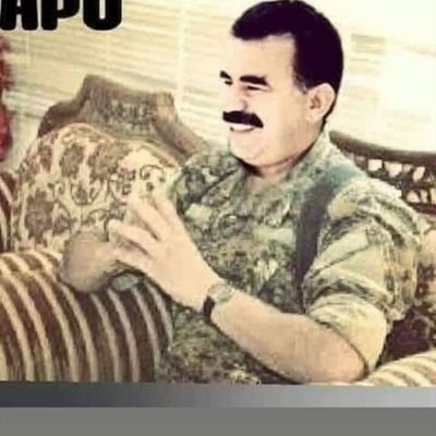 SipanSirac's profile picture. 