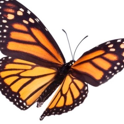 AngieCushing1's profile picture. 