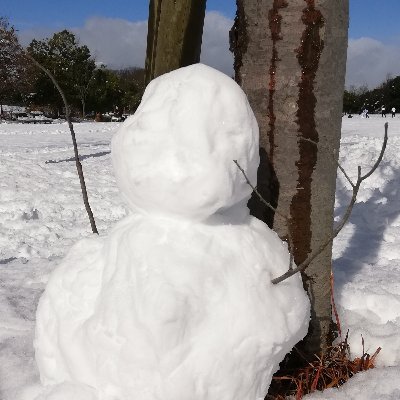 ぼんず