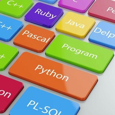 The elite programmer & website development