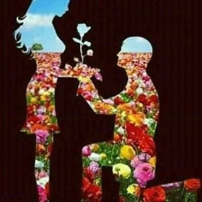 Despera33400660's profile picture. beni hakedecek kadın anasindan dogmadi henuz