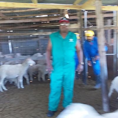 gulwa_vukile's profile picture. i am a hard working,fun loving person who love to interact and enjoy his private time with people