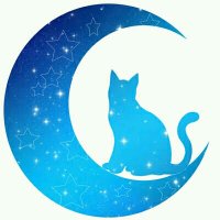 たかちゃん (@takachan_spn) Twitter profile photo