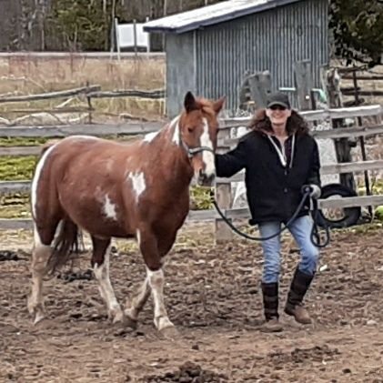 Retired nurse. Proud Mom of 3 and Gramma of 4. Equestrian and avid reader.