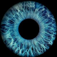 Ophthalmology research group(@Ophthalmo_lab) 's Twitter Profile Photo