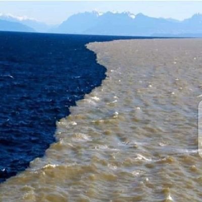 FawadKh61456590's profile picture. https://t.co/sZOUVQ35YX