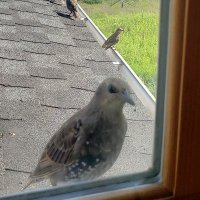 William Stiteler (@stitelerwilliam) 's Twitter Profile Photo