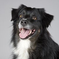 GcaDigital (@digitalgca) 's Twitter Profile