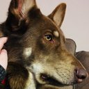 Travis Busch - @TravisB78835949 - Twitter