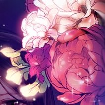 노버터쿠키さんのプロフィール画像