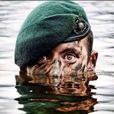 AibuitlangP's profile picture. 