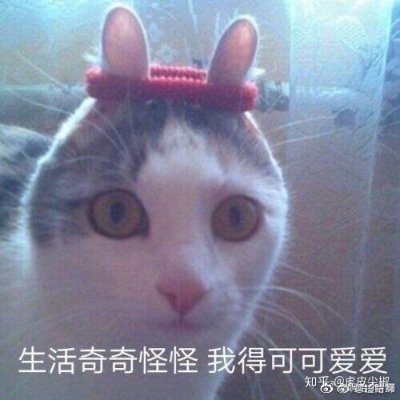 57456621xd's profile picture. 大学生一枚   喜欢可爱的男孩子 淋尿 舔脚 耳光 肛交 随缘约